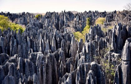 voyage_Madagascar_Bemaraha_tsingy