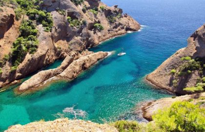 bluevasion
