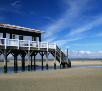 cap ferret excursion (1)