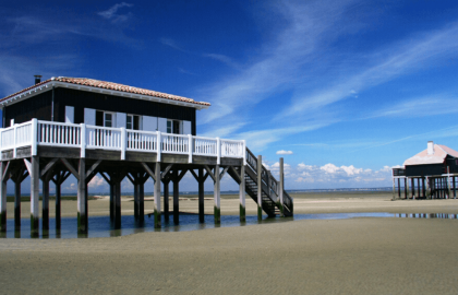 cap ferret excursion (1)