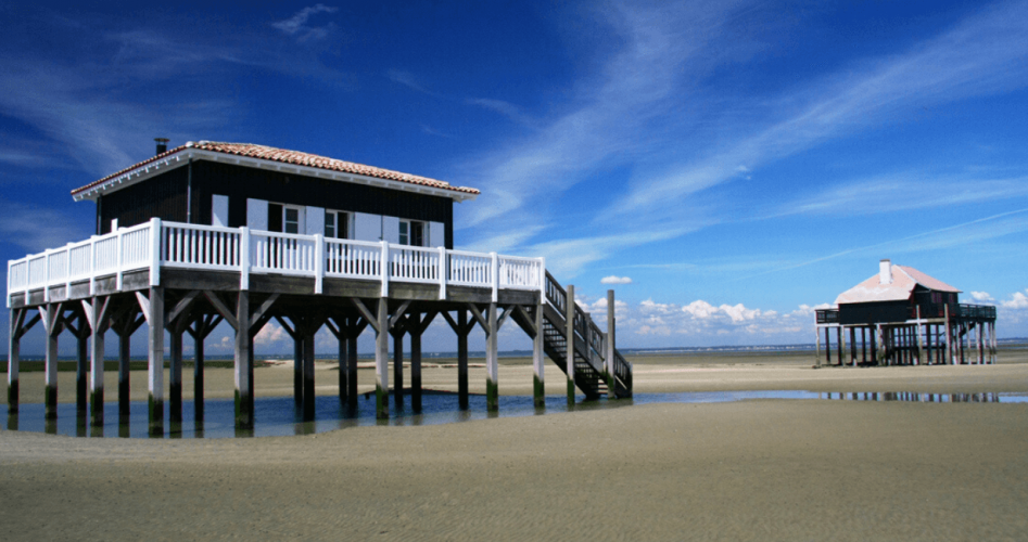 cap ferret excursion (1)