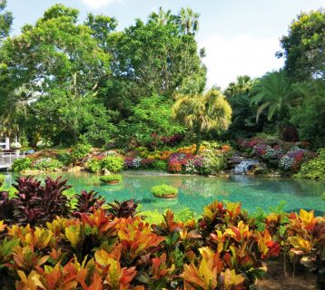 Le-plus-beau-jardin-du-monde
