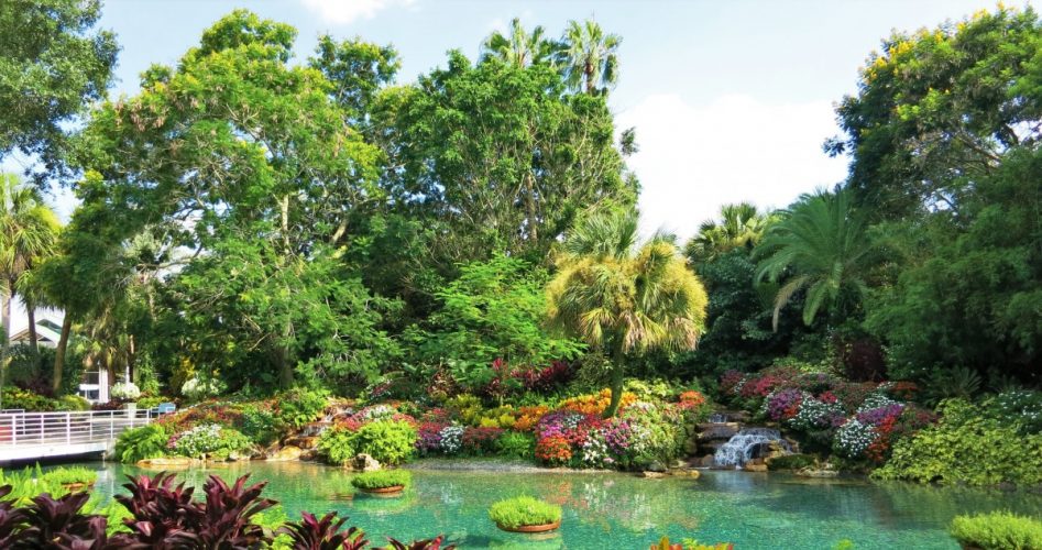 Le-plus-beau-jardin-du-monde