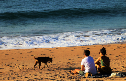 couple-chien-plage-soiree