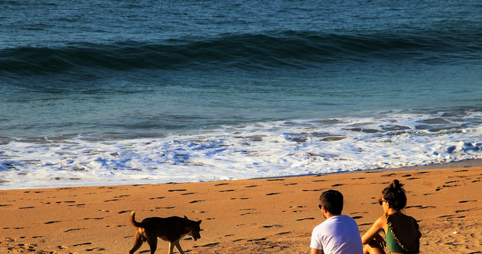 couple-chien-plage-soiree