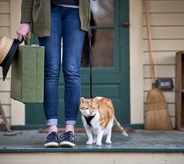 a girl holding a suitcase and going on a trip with her cat