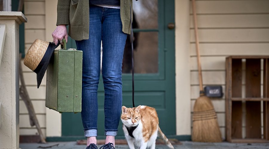 a girl holding a suitcase and going on a trip with her cat