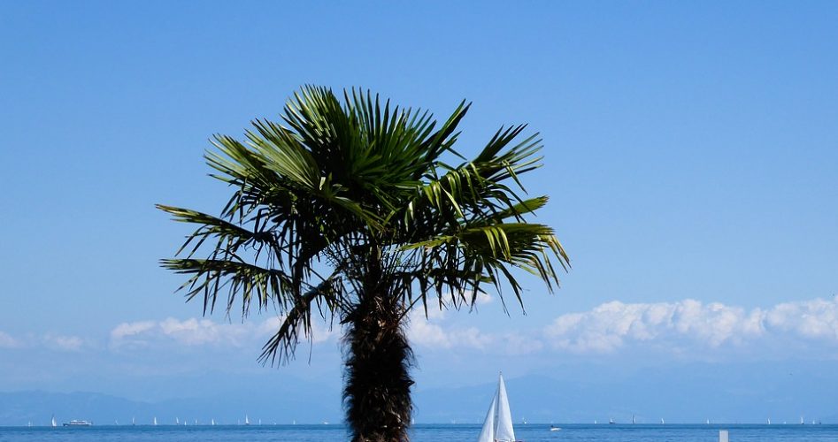 vacances scolaire
